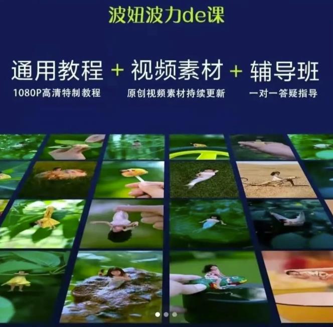 图片[2]-波妞波力的视频通用教程+视频素材+辅导班-臭虾米项目网