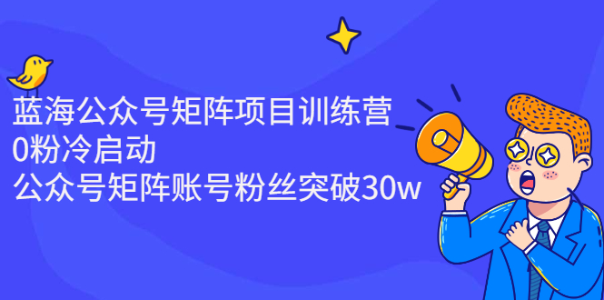 蓝海公众号矩阵项目训练营，0粉冷启动，公众号矩阵账号粉丝突破30w-臭虾米项目网