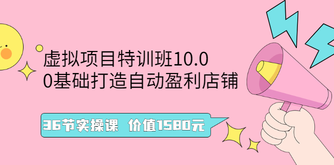 虚拟项目特训班10.0，0基础打造自动盈利店铺 36节实操课 价值1580元-臭虾米项目网