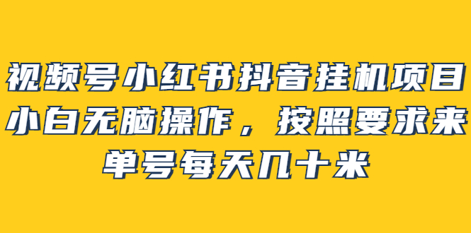 视频号小红书抖音挂机项目，小白无脑操作，按照要求来，单号每天几十米-臭虾米项目网