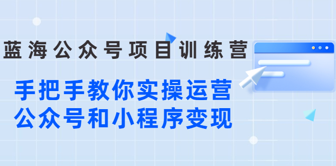 蓝海公众号项目训练营，手把手教你实操运营公众号和小程序变现-臭虾米项目网