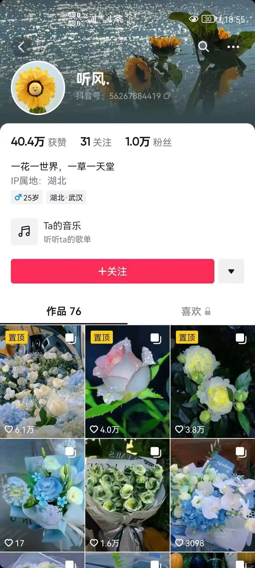 图片[3]-抖音壁纸变现项目：实战日入380+发布壁纸素材获取收益！-臭虾米项目网