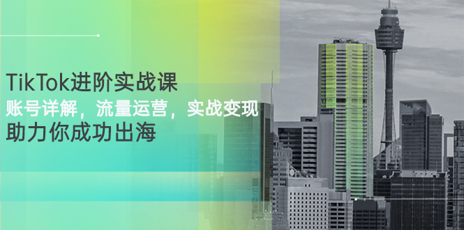 TikTok进阶实战课：账号详解，流量运营，实战变现，助力你成功出海-臭虾米项目网