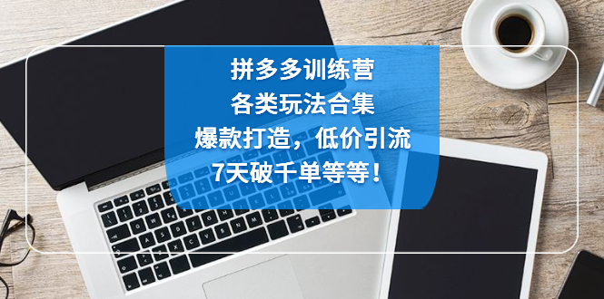 拼多多训练营：各玩法合集，爆款打造，低价引流，7天破千单等等！-臭虾米项目网