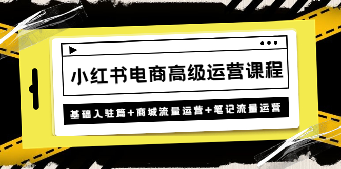 小红书电商高级运营课程：基础入驻篇+商城流量运营+笔记流量运营-臭虾米项目网