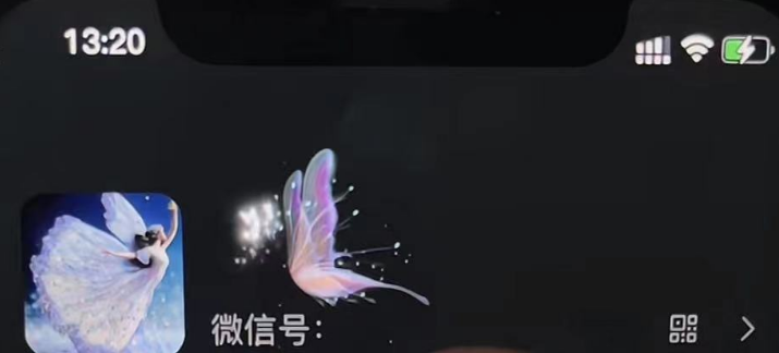 图片[3]-微信动态昵称设置方法，可抖音直播引流，日赚上百【详细视频教程+素材】-臭虾米项目网