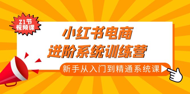 小红书电商进阶系统训练营：新手从入门到精通系统课（21节视频课）-臭虾米项目网