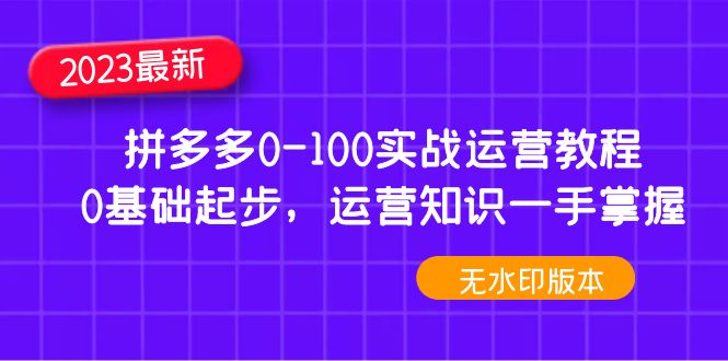 2023拼多多0-100实战运营教程，0基础起步，运营知识一手掌握-臭虾米项目网