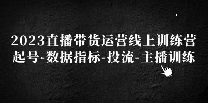 2023直播带货运营线上训练营，起号-数据指标-投流-主播训练-臭虾米项目网