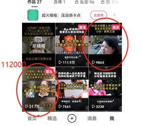 图片[2]-短视频纪实新闻搬运，起号快轻松引爆流量，可接广告变现（教程+素材）-臭虾米项目网