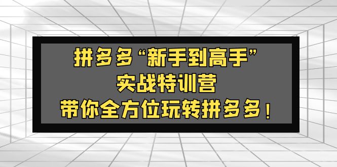 拼多多“新手到高手”实战特训营：带你全方位玩转拼多多！-臭虾米项目网