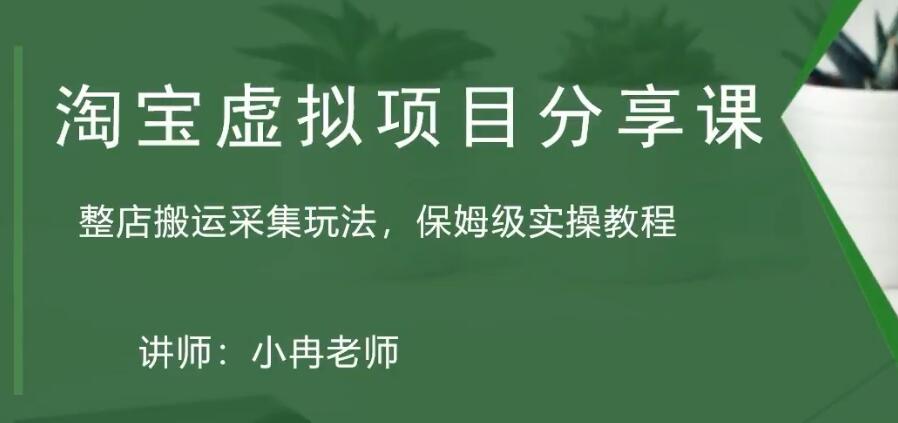 淘宝虚拟整店搬运采集玩法分享课：整店搬运采集玩法，保姆级实操教程-臭虾米项目网