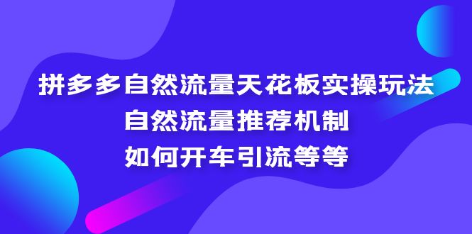 拼多多自然流量天花板实操玩法：自然流量推荐机制，如何开车引流等等-臭虾米项目网