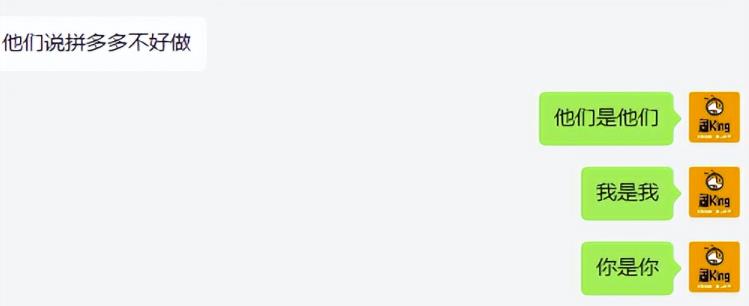 图片[6]-拼多多虚拟开店打卡群：入门到精通（昨日群里有小伙伴日入3000+）2月26更新-臭虾米项目网