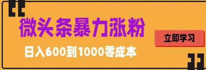 微头条暴力涨粉技巧搬运文案就能涨几万粉丝，简单0成本，日赚600-臭虾米项目网