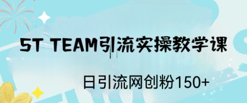 ST TEAM引流实操课，日引流网创粉100+-臭虾米项目网