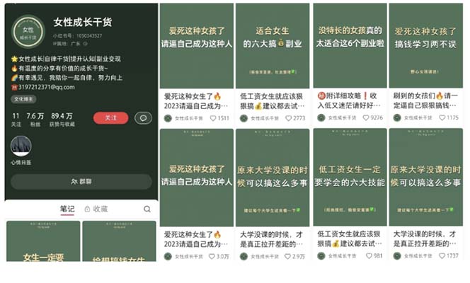 图片[2]-小红书各行业引流玩法，从养号到制作到引流等，一条龙分享给你-臭虾米项目网