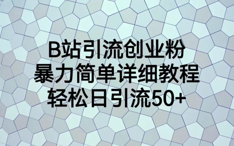B站引流创业粉，暴力简单详细教程，轻松日引流50+-臭虾米项目网