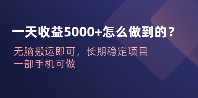 一天收益5000+怎么做到的？无脑搬运即可，长期稳定项目，一部手机可做-臭虾米项目网