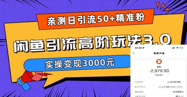 实测日引50+精准粉，闲鱼引流高阶玩法3.0，实操变现3000元-臭虾米项目网