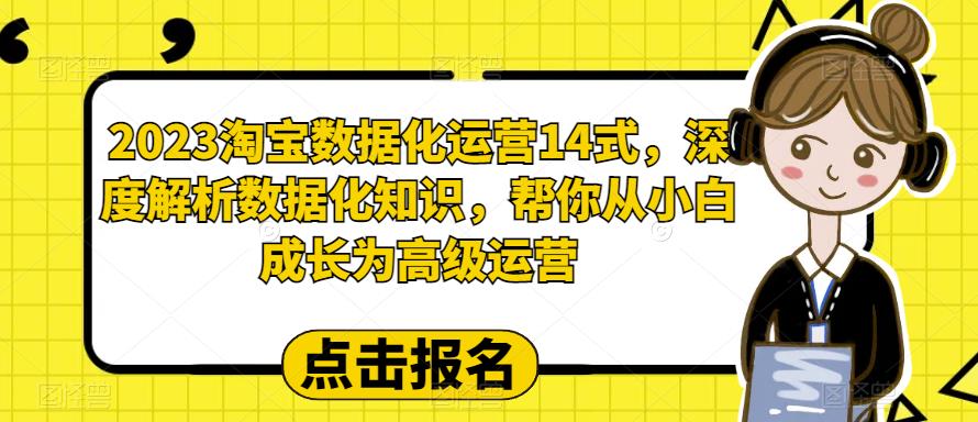 2023淘宝数据化-运营 14式,深度解析数据化知识,帮你从小白成长为高级运营-臭虾米项目网