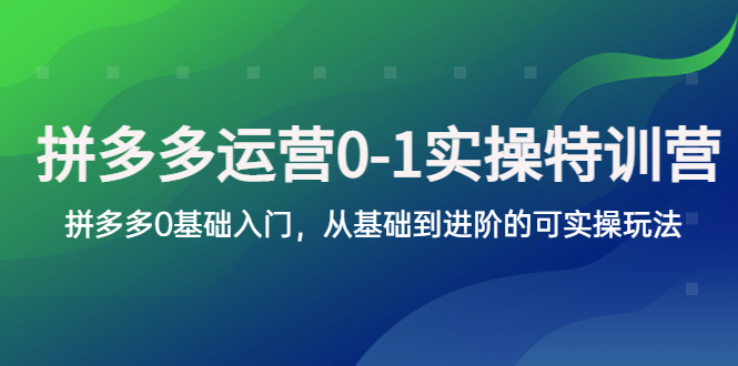 拼多多-运营0-1实操训练营，拼多多0基础入门，从基础到进阶的可实操玩法-臭虾米项目网