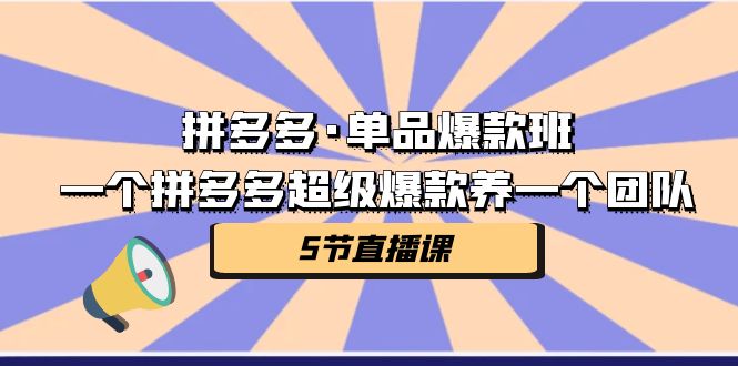 拼多多·单品爆款班，一个拼多多超级爆款养一个团队（5节直播课）-臭虾米项目网