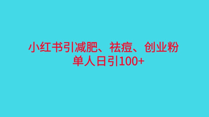 小红书精准引流，减肥、祛痘、创业粉单人日引100+（附软件）-臭虾米项目网