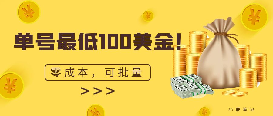 单号最低100美金，零成本，小白无脑操作。可复制，可扩大。-臭虾米项目网