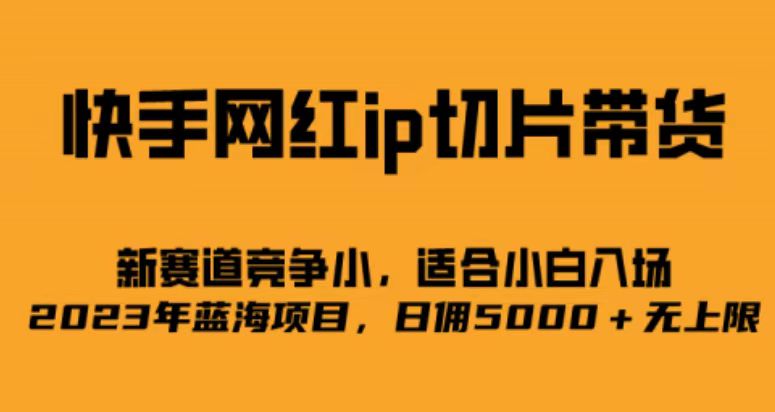 快手网红ip切片新赛道，竞争小事，适合小白 2023蓝海项目-臭虾米项目网