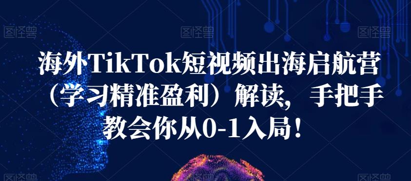 海外TikTok短视频出海启航营（学习精准盈利）解读，手把手教会你从0-1入局！-臭虾米项目网