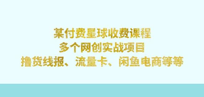 某付费星球课程：多个网创实战项目，撸货线报、流量卡、闲鱼电商等（文档非视频）-臭虾米项目网