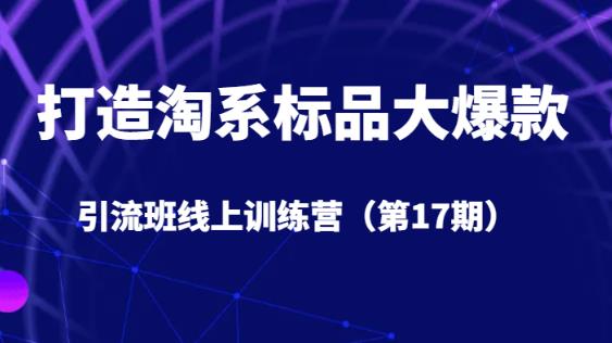 打造淘系标品大爆款引流班线上训练营（第17期）5天直播授课-臭虾米项目网