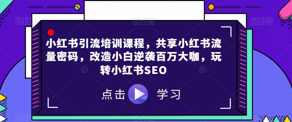 小红书引流培训课程，共享小红书流量密码，改造小白逆袭百万大咖，玩转小红书SEO-臭虾米项目网