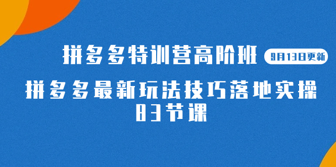 2023拼多多·特训营高阶班【9月13日更新】拼多多最新玩法技巧落地实操-83节-臭虾米项目网