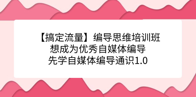 【搞定流量】编导思维培训班，想成为优秀自媒体编导先学自媒体编导通识1.0-臭虾米项目网