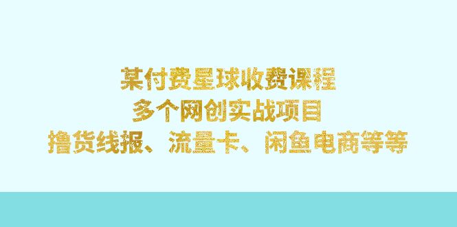 某付费星球课程：多个网创实战项目，撸货线报、流量卡、闲鱼电商等等-臭虾米项目网