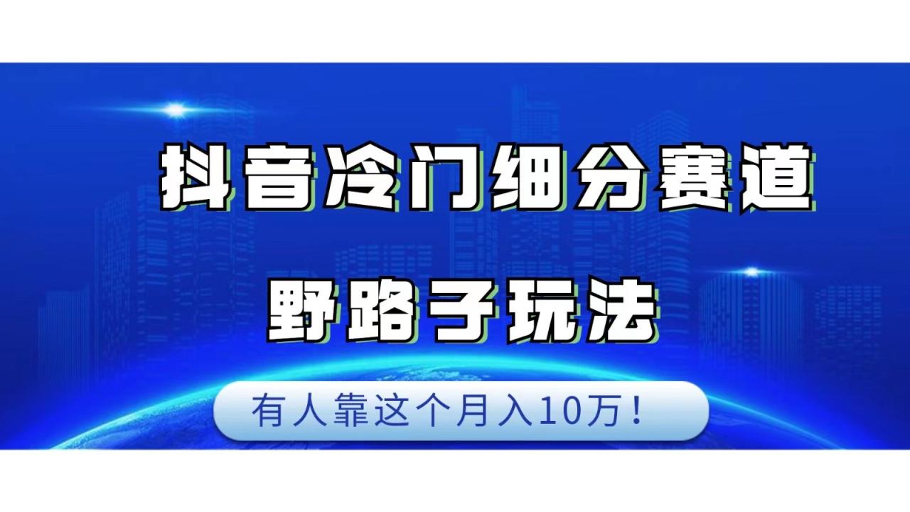 抖音冷门细分赛道野路子玩法，有人靠这个月入10万-臭虾米项目网