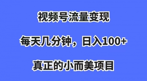 视频号流量变现，每天几分钟，收入100+，真正的小而美项目-臭虾米项目网