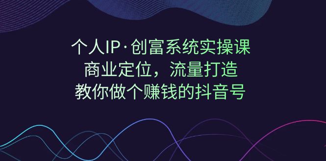 个人IP·创富系统实操课：商业定位，流量打造，教你做个赚钱的抖音号-臭虾米项目网