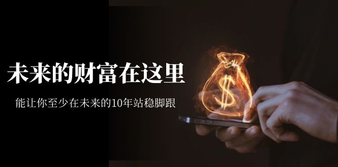 某收费文章《未来的财富在这里》能让你至少在未来的10年站稳脚跟-臭虾米项目网