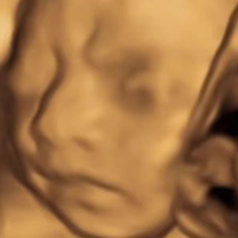 图片[1]-AI四维彩超预测，一单9.9-98，3分钟出图，一天变现1000+-臭虾米项目网