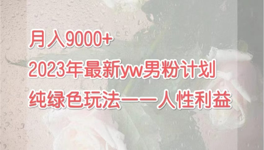 月入9000+2023年9月最新yw男粉计划绿色玩法——人性之利益-臭虾米项目网