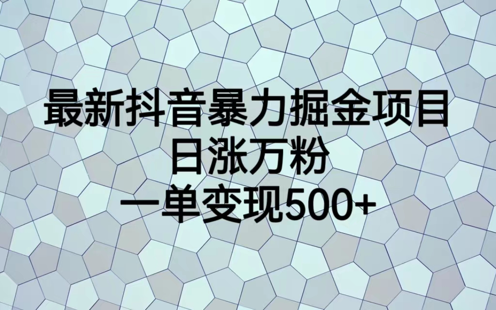 最火热的抖音暴力掘金项目，日涨万粉，多种变现方式，一单变现可达500+-臭虾米项目网