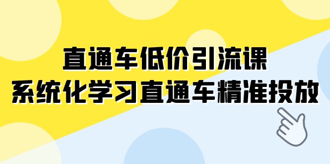 直通车-低价引流课，系统化学习直通车精准投放（14节课）-臭虾米项目网