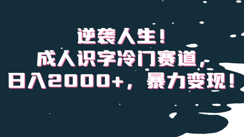 逆袭人生！成人识字冷门赛道，日入2000+，暴力变现！【揭秘】-臭虾米项目网