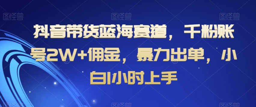 抖音带货蓝海赛道，千粉账号2W+佣金，暴力出单，小白1小时上手【揭秘】-臭虾米项目网