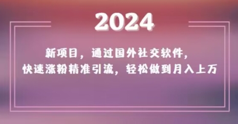 2024新项目，通过国外社交软件，快速涨粉精准引流，轻松做到月入上万【揭秘】-臭虾米项目网