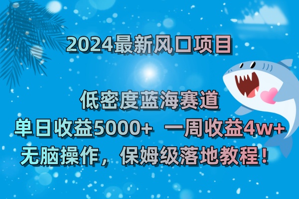 2024最新风口项目 低密度蓝海赛道，日收益5000+周收益4w+ 无脑操作-臭虾米项目网