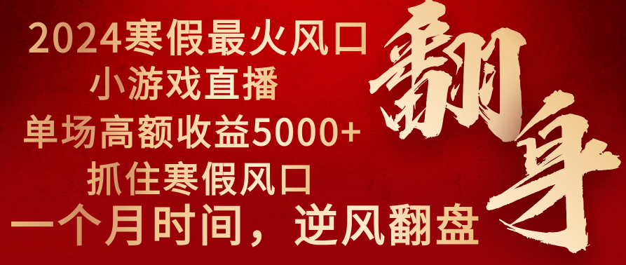 2024年最火寒假风口项目 小游戏直播 单场收益5000+抓住风口 一个月直接提车-臭虾米项目网